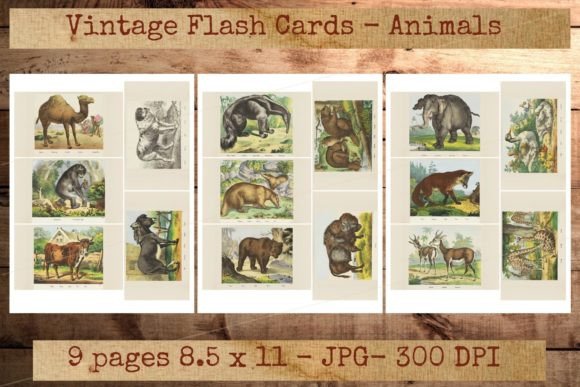 Download Vintage Animal Homeschooling Flashcards - Homeschooling Collection
