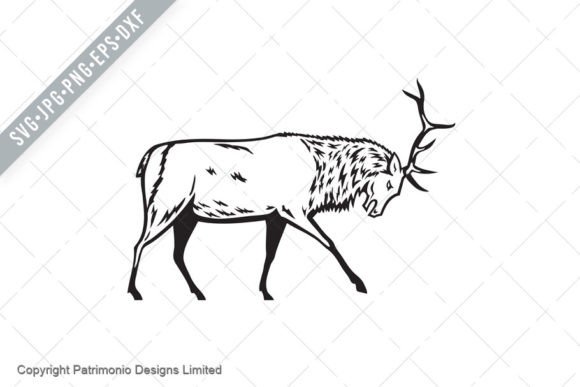 Download Bull Elk or Wapiti Fighting Stance Retro - Fighting Collection