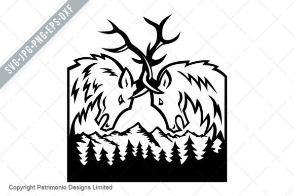 Download Head of Bull Elk Fighting Rocky Mountain - Fighting Collection